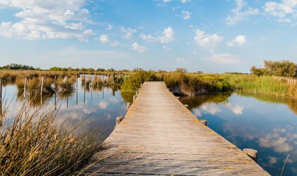 camargue zone humide collectif quartier esparron aigues mortes