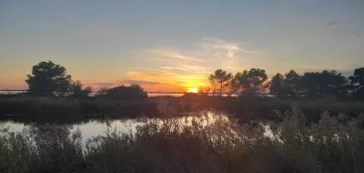 coucher soleil marais etang camargue collectif esparron