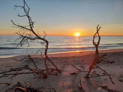 espiguette littoral protection environnement camargue collectif esparron