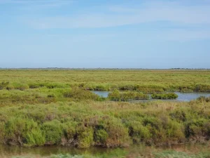 etang camargue environnement collectif riverains aigues mortes