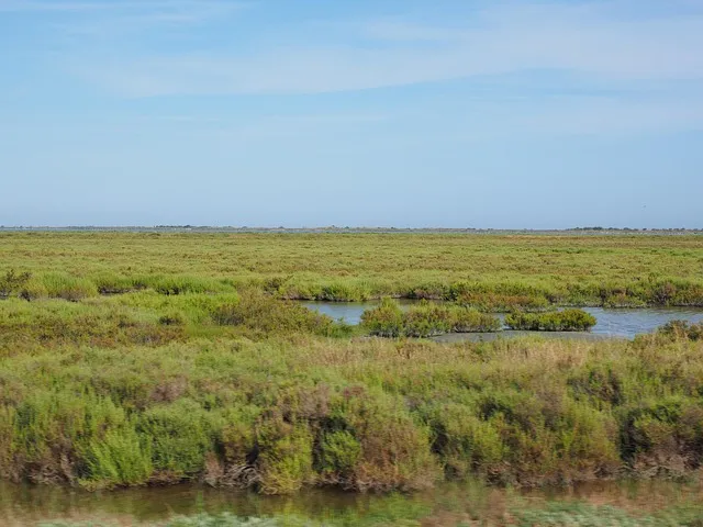 etang camargue environnement collectif riverains aigues mortes